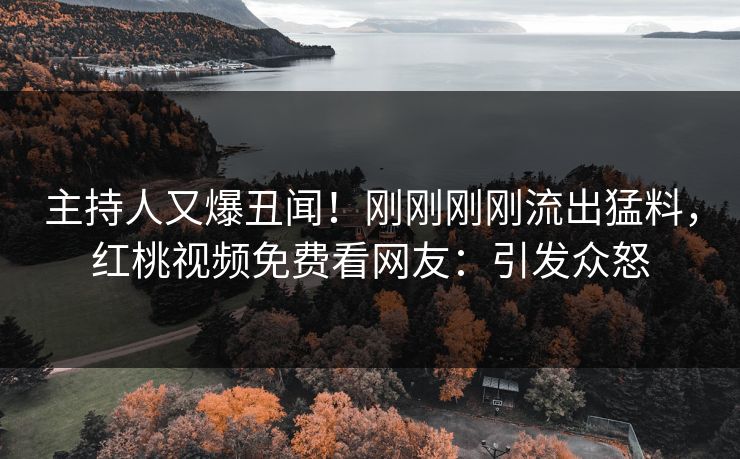 主持人又爆丑闻！刚刚刚刚流出猛料，红桃视频免费看网友：引发众怒