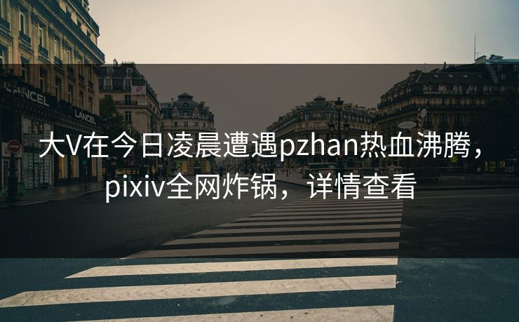 大V在今日凌晨遭遇pzhan热血沸腾，pixiv全网炸锅，详情查看